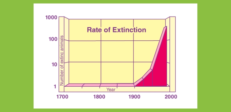 nature-rate-of-extinction-chart